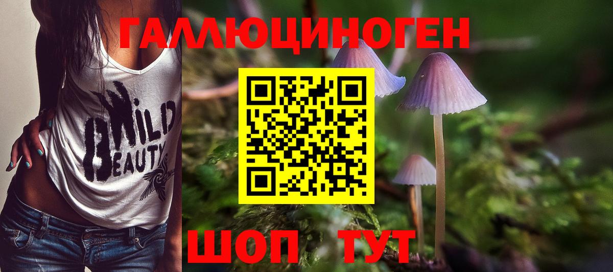 Псилоцибиновые грибы мицелий  Галлюциногенные грибы GOLDEN TEACHER  Пенза  Вход с VPN 