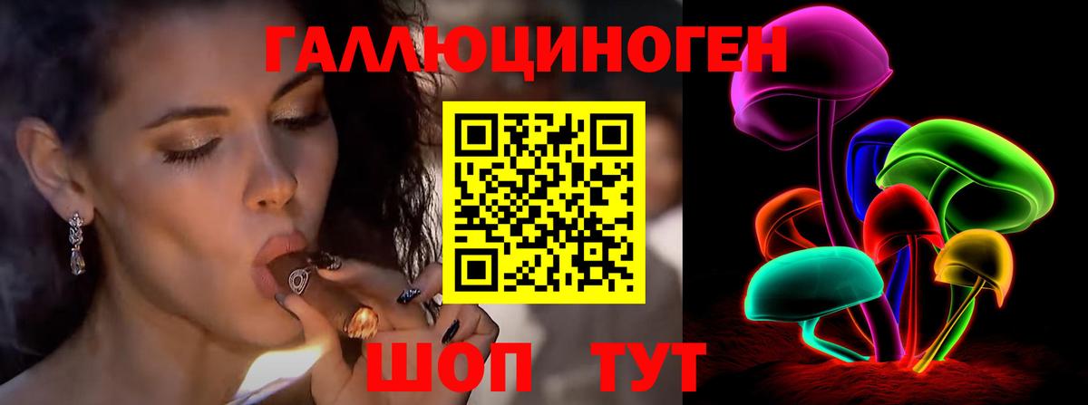 Псилоцибиновые грибы Psilocybe Пенза